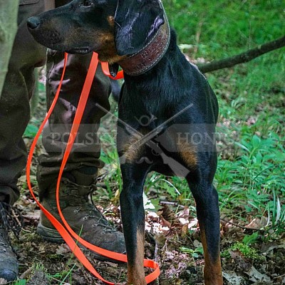 ýcvikový den Polských honičů a barvářů -přehrada Jestřebice - honitby Hs Bohuslavice a LČR Bohuslavice