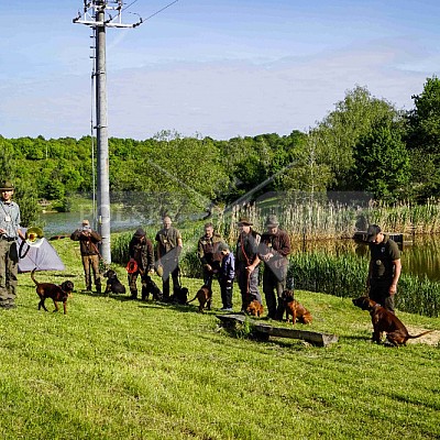 ýcvikový den Polských honičů a barvářů -přehrada Jestřebice - honitby Hs Bohuslavice a LČR Bohuslavice