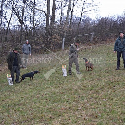 Výcvikový den ČMKCHB v Lípě (19. 3. 2016,  Lípa nad Dřevnicí)