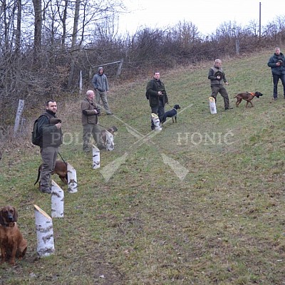 Výcvikový den ČMKCHB v Lípě (19. 3. 2016,  Lípa nad Dřevnicí)