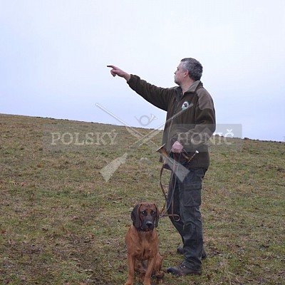 Výcvikový den ČMKCHB v Lípě (19. 3. 2016,  Lípa nad Dřevnicí)