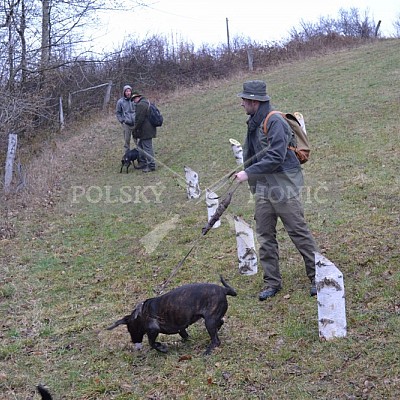 Výcvikový den ČMKCHB v Lípě (19. 3. 2016,  Lípa nad Dřevnicí)