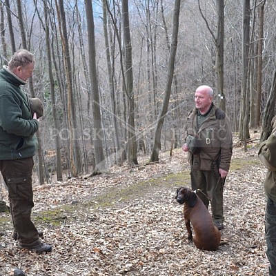 Výcvikový den ČMKCHB v Lípě (19. 3. 2016,  Lípa nad Dřevnicí)