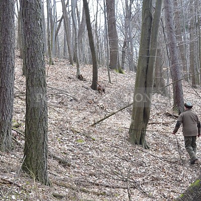 Výcvikový den ČMKCHB v Lípě (19. 3. 2016,  Lípa nad Dřevnicí)