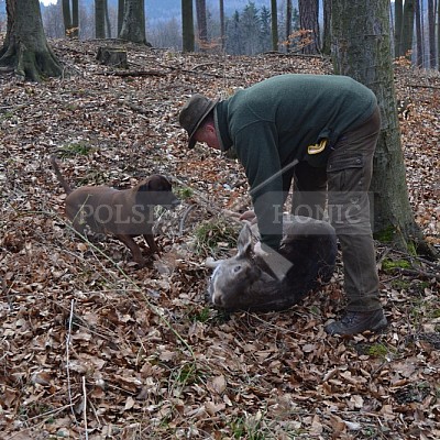 Výcvikový den ČMKCHB v Lípě (19. 3. 2016,  Lípa nad Dřevnicí)