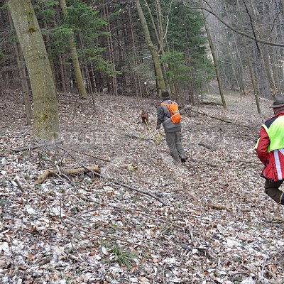 Výcvikový den ČMKCHB v Lípě (19. 3. 2016,  Lípa nad Dřevnicí)