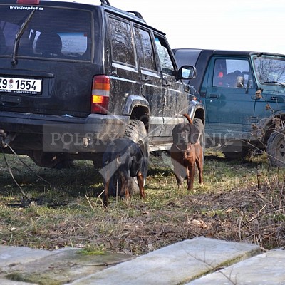 Výcvikový den ČMKCHB v Lípě (19. 3. 2016,  Lípa nad Dřevnicí)