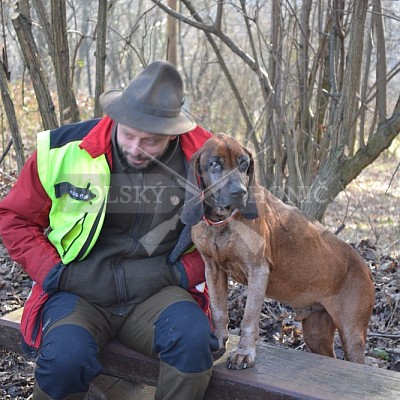 Výcvikový den ČMKCHB v Lípě (19. 3. 2016,  Lípa nad Dřevnicí)