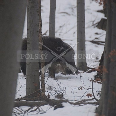 Naháňka Štítná nad Vláří 8.12.2016- podrobná foto prohlídka - autor Pavel Mašláň