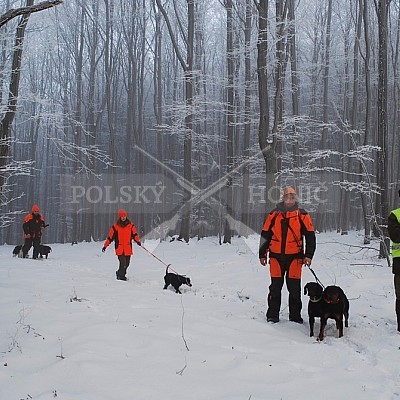 Naháňka Štítná nad Vláří 8.12.2016- podrobná foto prohlídka - autor Pavel Mašláň