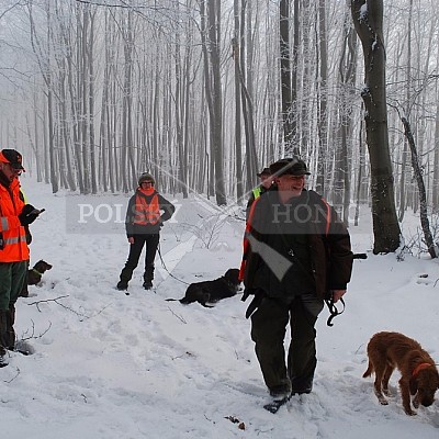 Naháňka Štítná nad Vláří 8.12.2016- podrobná foto prohlídka - autor Pavel Mašláň