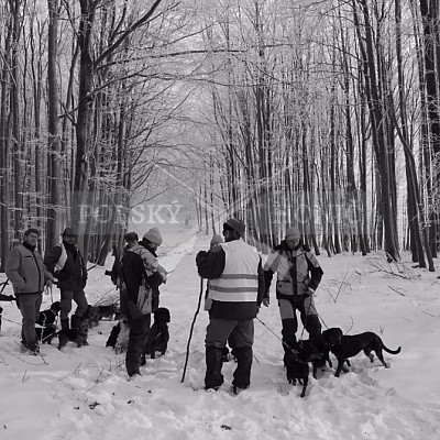 Naháňka Štítná nad Vláří 8.12.2016- podrobná foto prohlídka - autor Pavel Mašláň