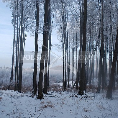 Naháňka Štítná nad Vláří 8.12.2016- podrobná foto prohlídka - autor Pavel Mašláň