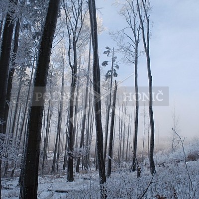 Naháňka Štítná nad Vláří 8.12.2016- podrobná foto prohlídka - autor Pavel Mašláň