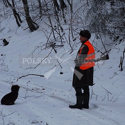 Naháňka Štítná nad Vláří 8.12.2016- podrobná foto prohlídka - autor Pavel Mašláň