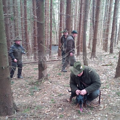 Výcvikový den ČMKCHB v Lípě (19. 3. 2016,  Lípa nad Dřevnicí)