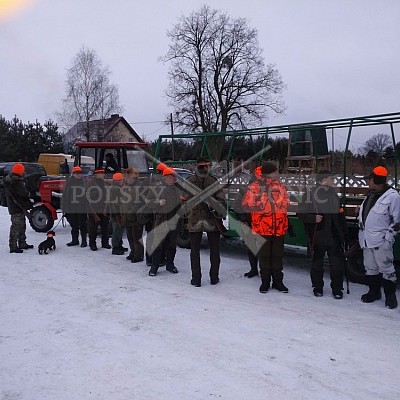 Naháňka Sieraków Śląski-Polsko-14.1.2017- naháňka -Doker,Dzik,Debra,Dona (3ks vysoké,1ks černá,18ks srnčí)