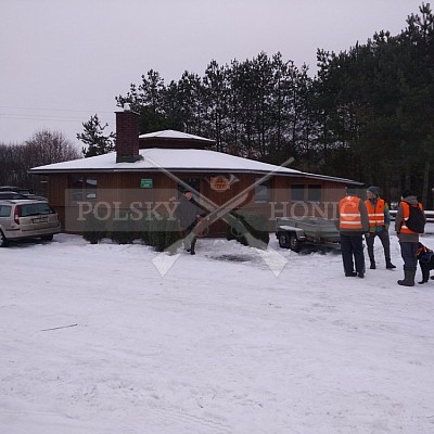 Naháňka Sieraków Śląski-Polsko-14.1.2017- naháňka -Doker,Dzik,Debra,Dona (3ks vysoké,1ks černá,18ks srnčí)