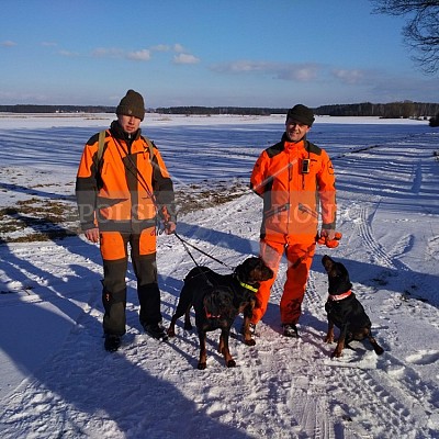 Naháňka Sieraków Śląski-Polsko-14.1.2017- naháňka -Doker,Dzik,Debra,Dona (3ks vysoké,1ks černá,18ks srnčí)