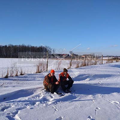 Naháňka Sieraków Śląski-Polsko-14.1.2017- naháňka -Doker,Dzik,Debra,Dona (3ks vysoké,1ks černá,18ks srnčí)