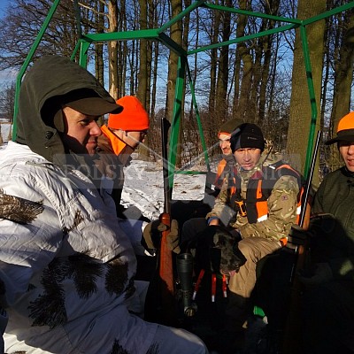 Naháňka Sieraków Śląski-Polsko-14.1.2017- naháňka -Doker,Dzik,Debra,Dona (3ks vysoké,1ks černá,18ks srnčí)