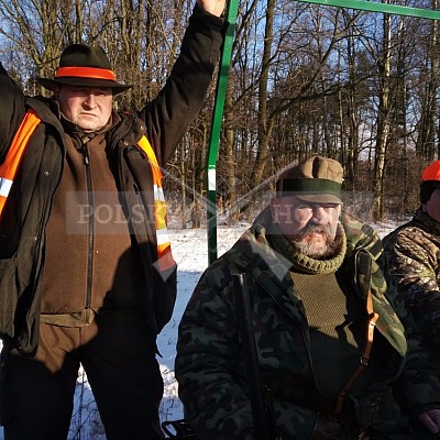 Naháňka Sieraków Śląski-Polsko-14.1.2017- naháňka -Doker,Dzik,Debra,Dona (3ks vysoké,1ks černá,18ks srnčí)