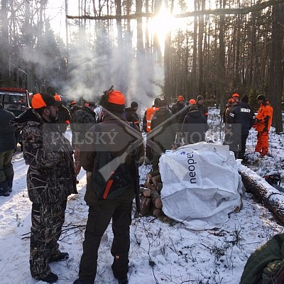 Naháňka Sieraków Śląski-Polsko-14.1.2017- naháňka -Doker,Dzik,Debra,Dona (3ks vysoké,1ks černá,18ks srnčí)