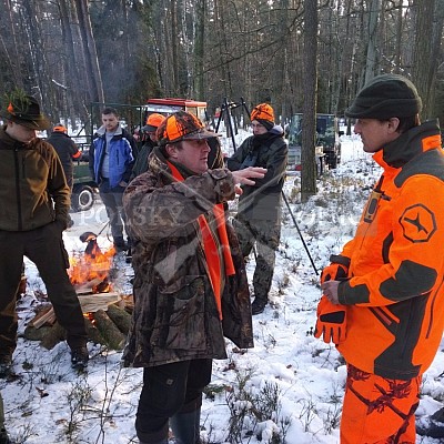 Naháňka Sieraków Śląski-Polsko-14.1.2017- naháňka -Doker,Dzik,Debra,Dona (3ks vysoké,1ks černá,18ks srnčí)