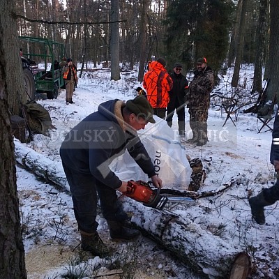 Naháňka Sieraków Śląski-Polsko-14.1.2017- naháňka -Doker,Dzik,Debra,Dona (3ks vysoké,1ks černá,18ks srnčí)