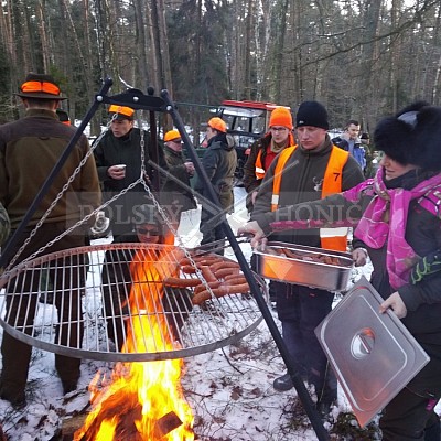 Naháňka Sieraków Śląski-Polsko-14.1.2017- naháňka -Doker,Dzik,Debra,Dona (3ks vysoké,1ks černá,18ks srnčí)