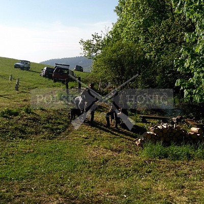 Výcvikový den Polských honičů Lípa nad Dřevnicí