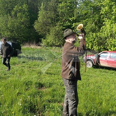 Výcvikový den Polských honičů Lípa nad Dřevnicí