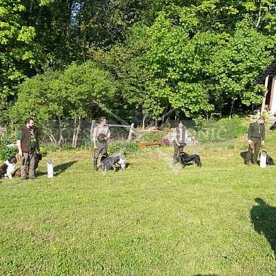 Výcvikový den Polských honičů Lípa nad Dřevnicí