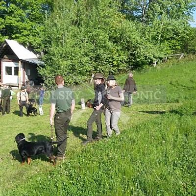 Výcvikový den Polských honičů Lípa nad Dřevnicí