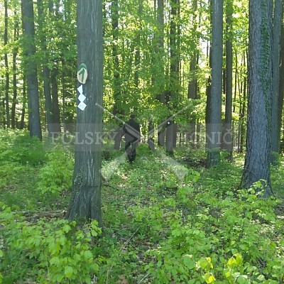 Výcvikový den Polských honičů Lípa nad Dřevnicí