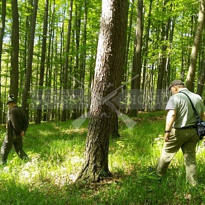 Výcvikový den Polských honičů Lípa nad Dřevnicí