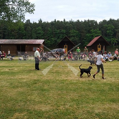 Klubová výstava honičů 4.6.2017- Tábor