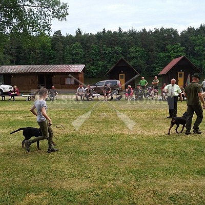 Klubová výstava honičů 4.6.2017- Tábor