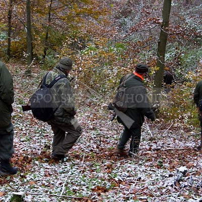 Naháňka Lípa u Zlína 12.11.2016 - podrobná foto prohlídka 