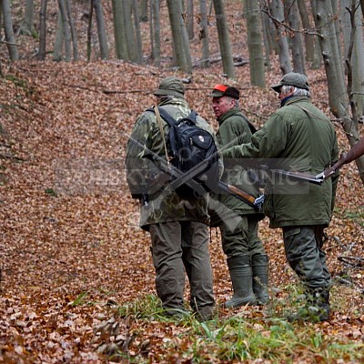 Naháňka Lípa u Zlína 12.11.2016 - podrobná foto prohlídka 