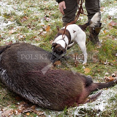 Naháňka Lípa u Zlína 12.11.2016 - podrobná foto prohlídka 