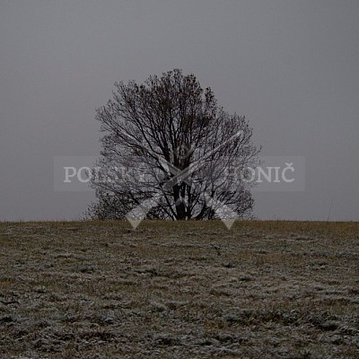 Naháňka Lípa u Zlína 12.11.2016 - podrobná foto prohlídka 