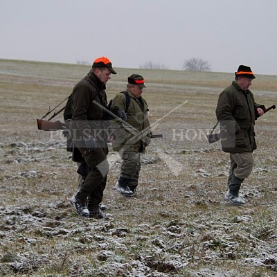 Naháňka Lípa u Zlína 12.11.2016 - podrobná foto prohlídka 