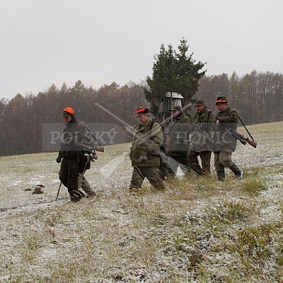 Naháňka Lípa u Zlína 12.11.2016 - podrobná foto prohlídka 