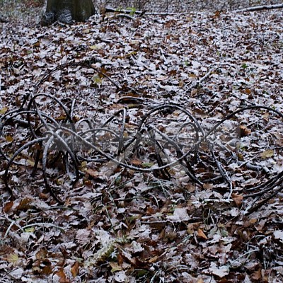 Naháňka Lípa u Zlína 12.11.2016 - podrobná foto prohlídka 