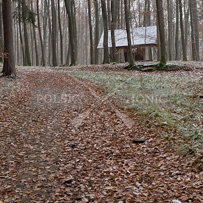 Naháňka Lípa u Zlína 12.11.2016 - podrobná foto prohlídka 