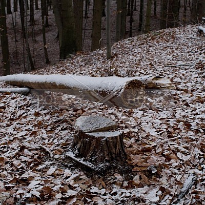 Naháňka Lípa u Zlína 12.11.2016 - podrobná foto prohlídka 