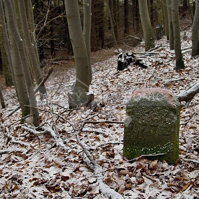 Naháňka Lípa u Zlína 12.11.2016 - podrobná foto prohlídka 