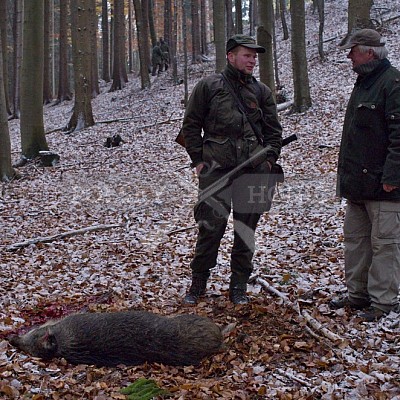 Naháňka Lípa u Zlína 12.11.2016 - podrobná foto prohlídka 