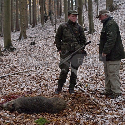 Naháňka Lípa u Zlína 12.11.2016 - podrobná foto prohlídka 